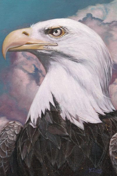 Yue Zeng: Bald Eagle 2019 by Yue Zeng