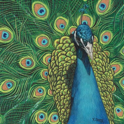 Peacock Bird by Yue Zeng framed wall art