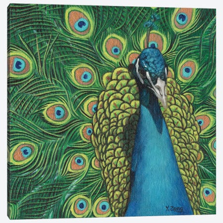 Peacock Bird Canvas Print #YZG40} by Yue Zeng Canvas Wall Art