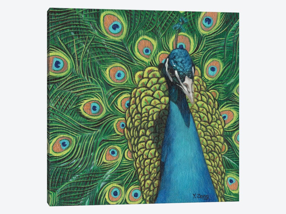 Peacock Bird by Yue Zeng 1-piece Canvas Artwork