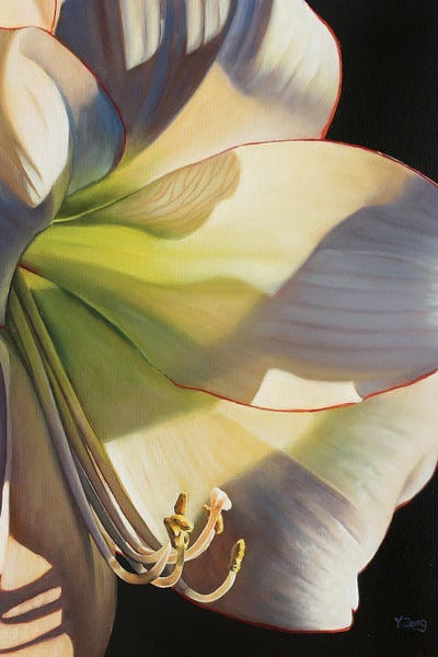 Picotee Flower by Yue Zeng framed wall art