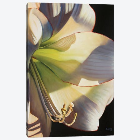 Picotee Flower Canvas Print #YZG41} by Yue Zeng Canvas Art