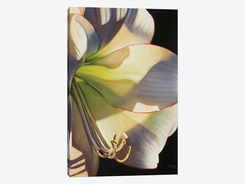Picotee Flower by Yue Zeng 1-piece Canvas Print