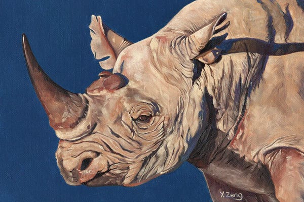 Rhinoceroses: Rhino Portrait by Yue Zeng