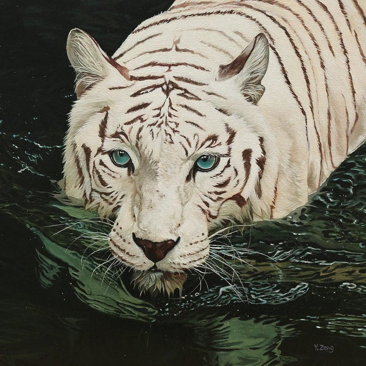 White Tiger In Black Water