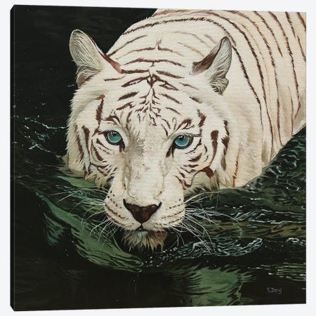 White Tiger In Black Water Canvas Print #YZG44} by Yue Zeng Canvas Art Print