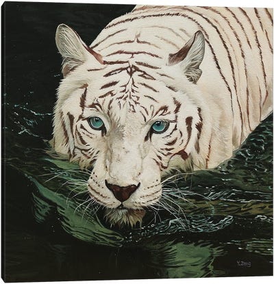 White Tiger In Black Water Canvas Art Print - Yue Zeng