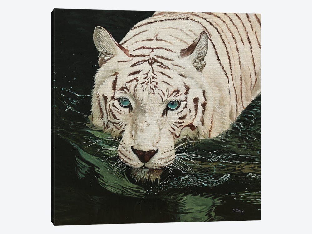 White Tiger In Black Water by Yue Zeng 1-piece Canvas Art