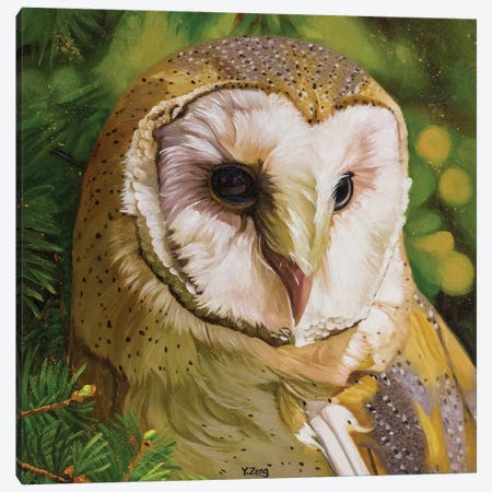 Barn Owl Canvas Print #YZG45} by Yue Zeng Canvas Print