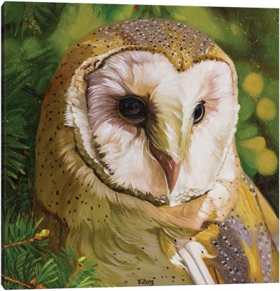 Barn Owl Canvas Art Print - Yue Zeng