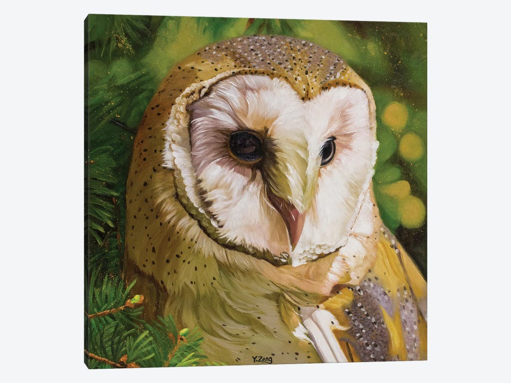 Barn Owl by Yue Zeng 1-piece Canvas Print