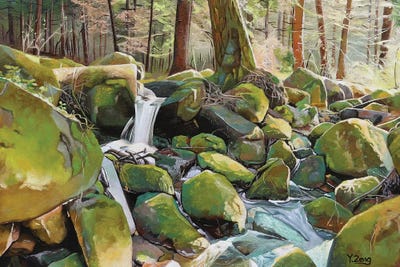 Creek Rocks by Yue Zeng framed wall art