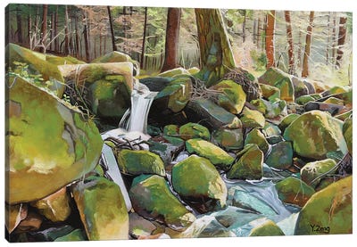 Creek Rocks Canvas Art Print - Yue Zeng
