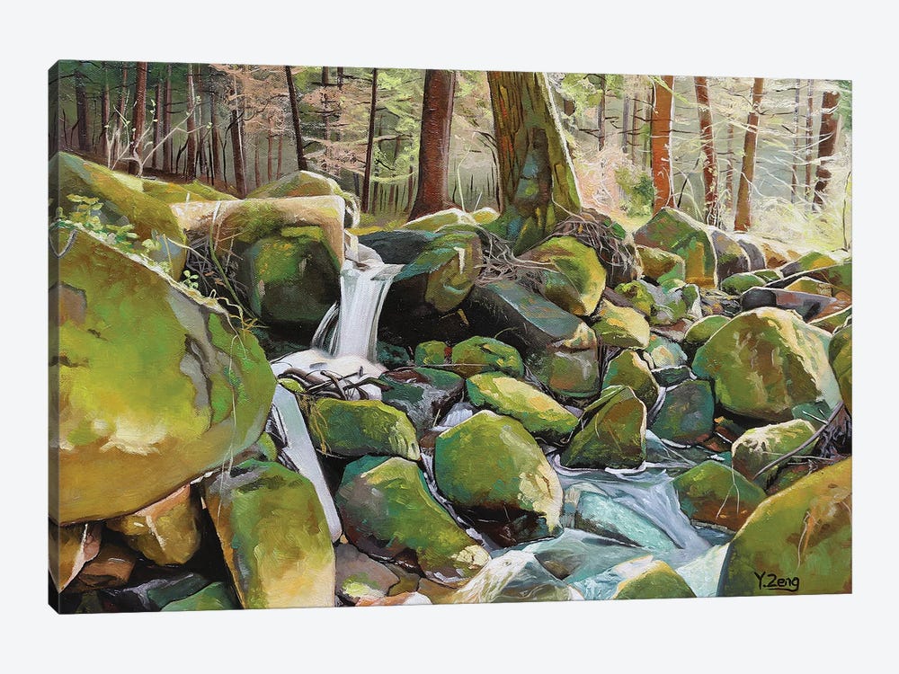 Creek Rocks by Yue Zeng 1-piece Canvas Artwork