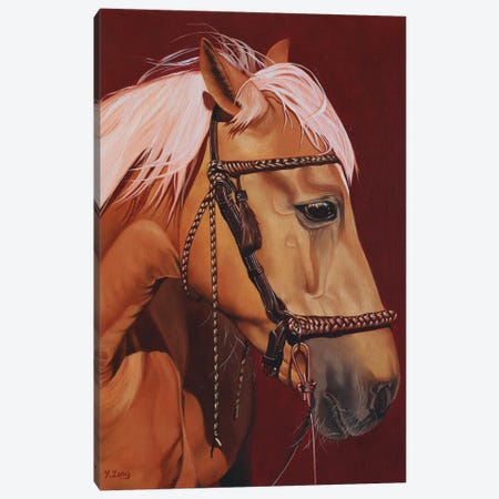 Horse Profile Canvas Print #YZG48} by Yue Zeng Canvas Artwork