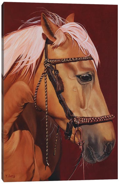 Horse Profile Canvas Art Print - Yue Zeng