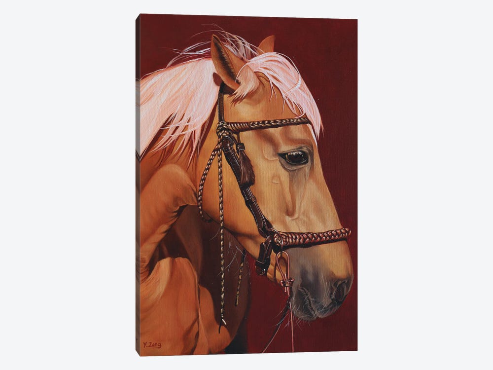 Horse Profile by Yue Zeng 1-piece Canvas Art