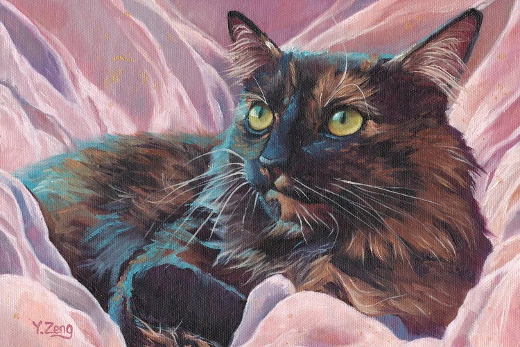 Naomi Pet Portrait