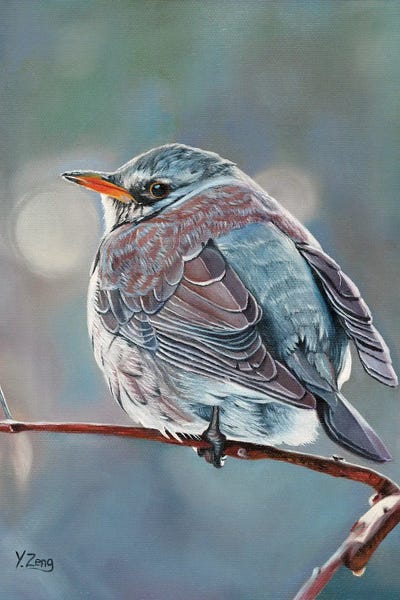 Wild Bird by Yue Zeng framed wall art