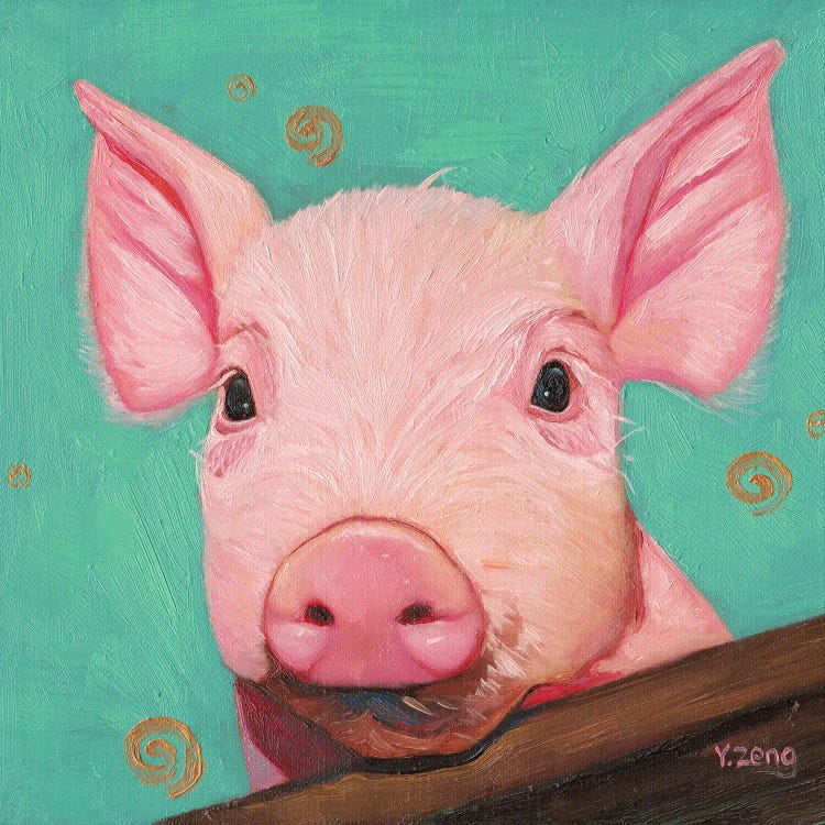 Pink Piggy