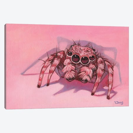 Jumping Spider Canvas Print #YZG54} by Yue Zeng Canvas Wall Art