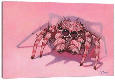 Jumping Spider Canvas Art Print - Yue Zeng