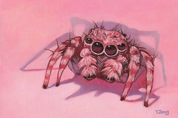 Spiders: Jumping Spider by Yue Zeng