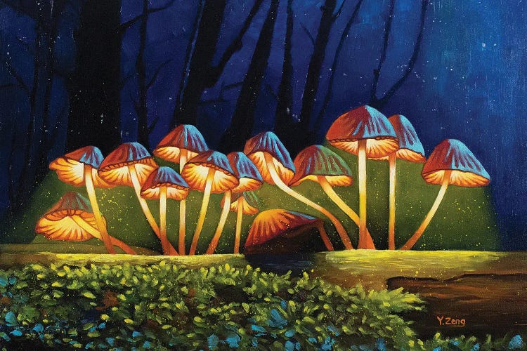 Nightlights Glowing Mushrooms