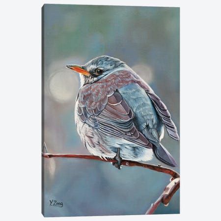 Wild Bird Canvas Print #YZG5} by Yue Zeng Canvas Art
