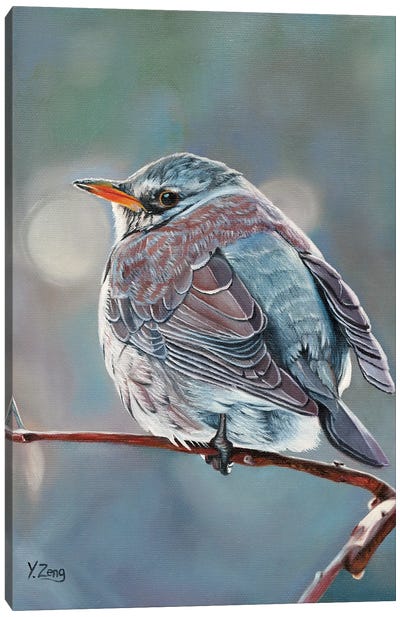 Wild Bird Canvas Art Print - Yue Zeng