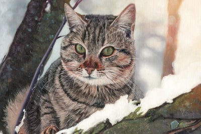 Cat In The Tree by Yue Zeng framed wall art