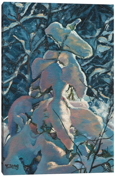Snow Covered Fern Canvas Art Print - Yue Zeng