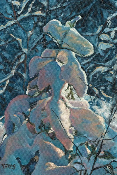 Ferns: Snow Covered Fern by Yue Zeng