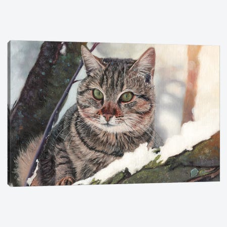 Cat In The Tree Canvas Print #YZG6} by Yue Zeng Canvas Wall Art