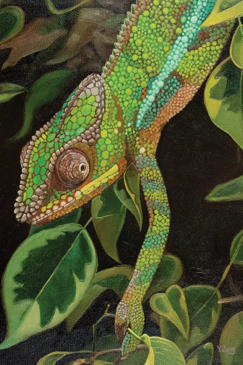 Chameleon Oil