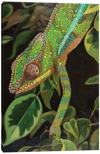 Chameleon Oil Canvas Art Print - Chameleon Art
