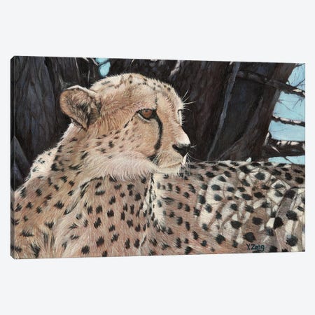 Cheetah Canvas Print #YZG7} by Yue Zeng Canvas Wall Art