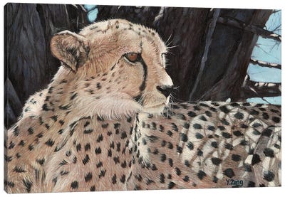 Cheetah Canvas Art Print - Yue Zeng