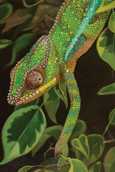 Chameleon Portrait by Yue Zeng framed canvas print