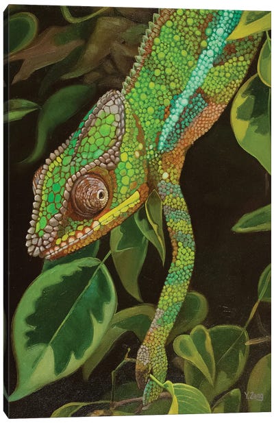 Chameleon Portrait Canvas Art Print - Yue Zeng