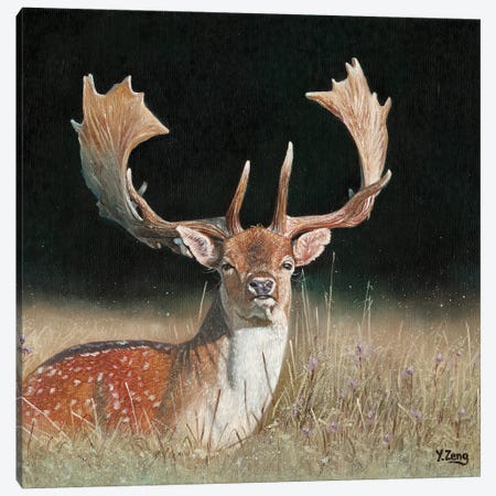 Fallow Deer Canvas Print #YZG9} by Yue Zeng Canvas Art Print