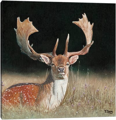 Fallow Deer Canvas Art Print - Yue Zeng