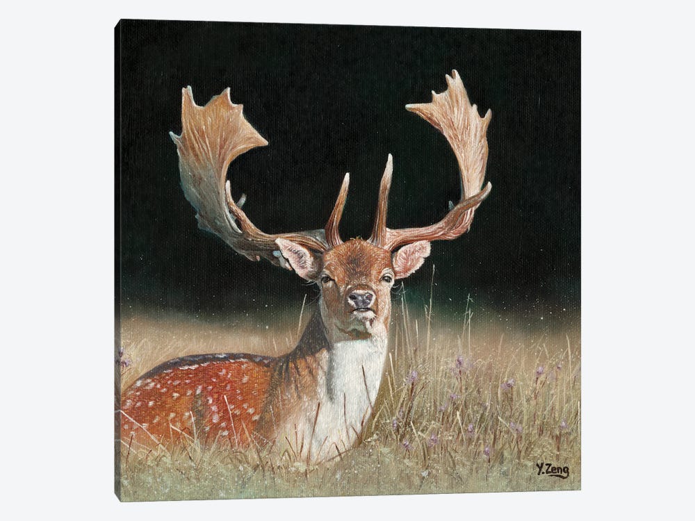 Fallow Deer by Yue Zeng 1-piece Canvas Art Print