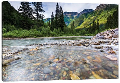 Stream, Rocks, Rushing Water, Glacier National Park, Montana Canvas Art Print