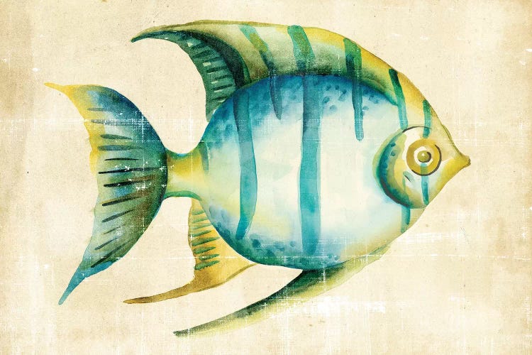 Aquarium Fish I by Chariklia Zarris wall art