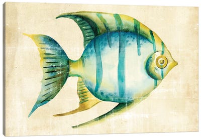 Aquarium Fish I Canvas Art Print - Chariklia Zarris