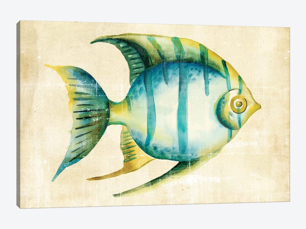 Aquarium Fish I by Chariklia Zarris 1-piece Art Print