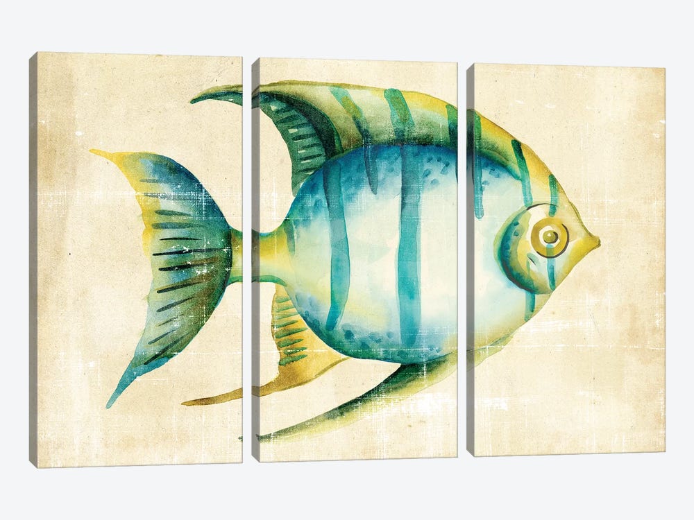 Aquarium Fish I by Chariklia Zarris 3-piece Art Print