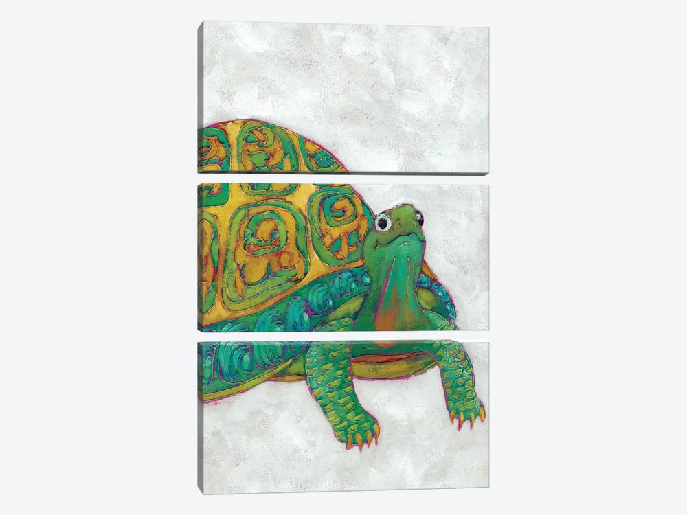 Turtle Friends I by Chariklia Zarris 3-piece Canvas Art Print