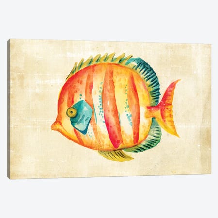 Aquarium Fish II Canvas Print #ZAR13} by Chariklia Zarris Canvas Wall Art